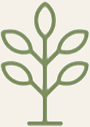 agodoc Logo